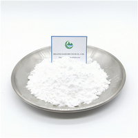 공장 공급 99 % 순도 Pramiracetam 원시 분말 CAS. 68497-62-1.